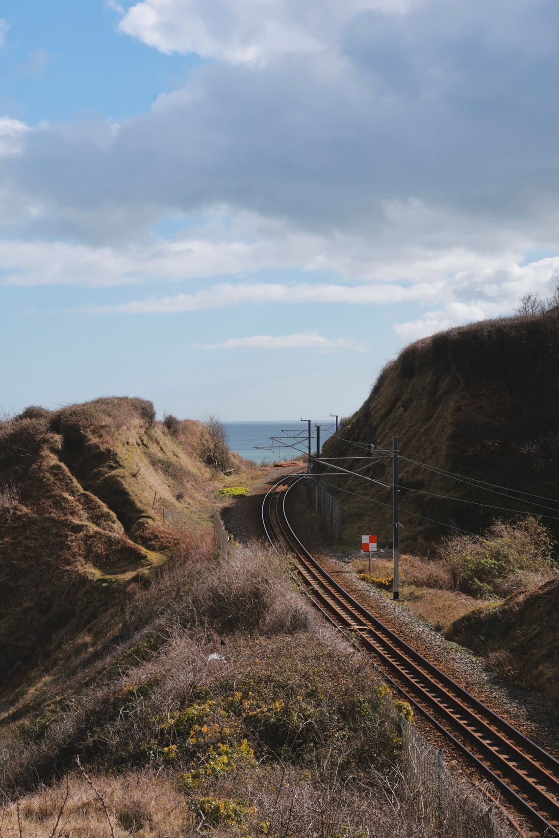 (Untitled)