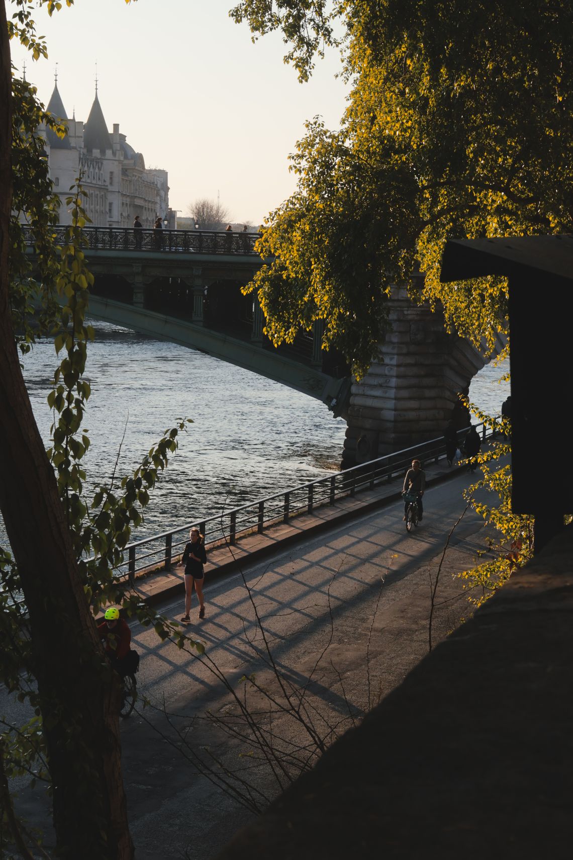 (Untitled)