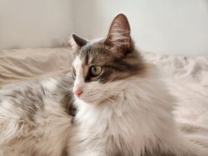 (Untitled)
