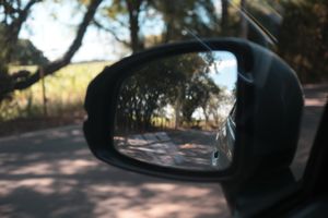 (Untitled)