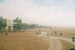 (Untitled)