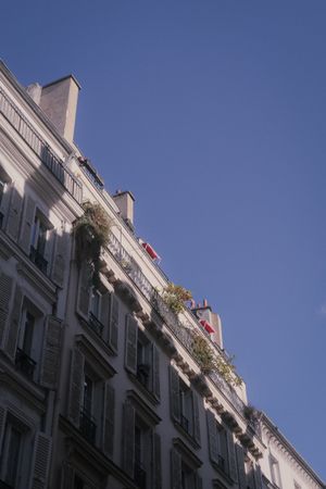 (Untitled)