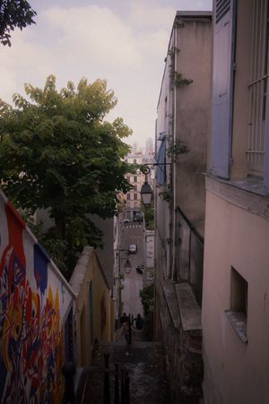 (Untitled)