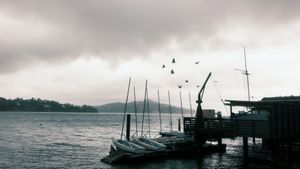(Untitled)