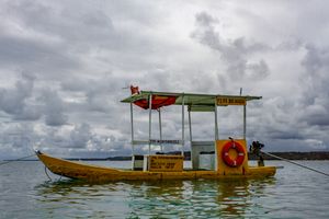 (Untitled)