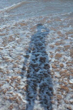 (Untitled)