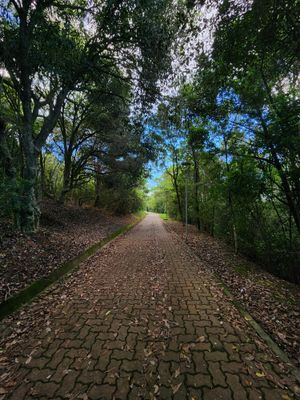 (Untitled)