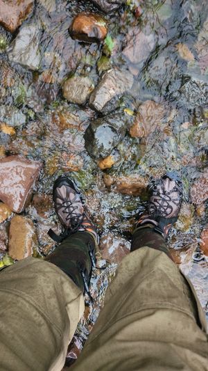 (Untitled)
