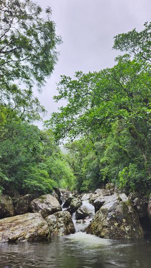 (Untitled)