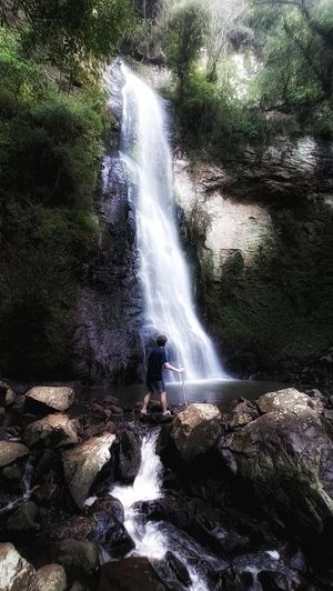 (Untitled)