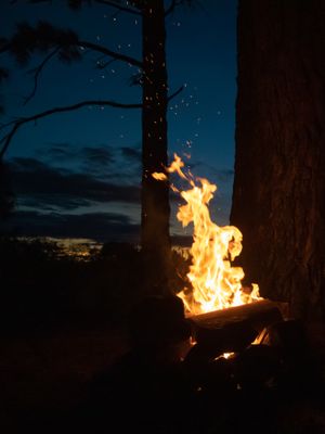 (Untitled)