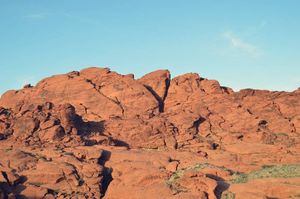 (Untitled)