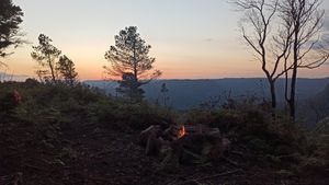(Untitled)