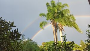 (Untitled)