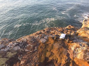 (Untitled)