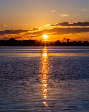 (Untitled)