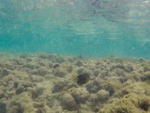 (Untitled)