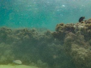 (Untitled)