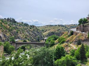 (Untitled)