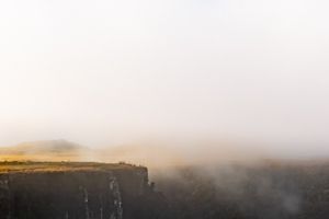 (Untitled)
