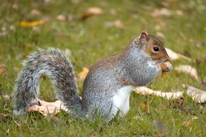 (Untitled)