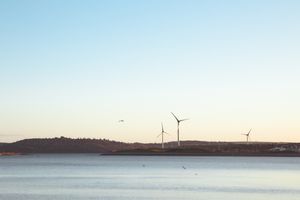 (Untitled)