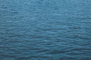 (Untitled)