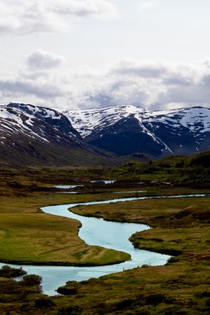 (Untitled)