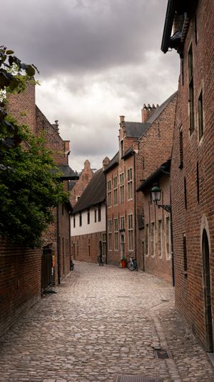 (Untitled)
