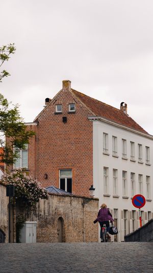 (Untitled)