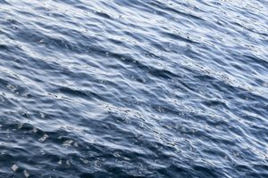 (Untitled)