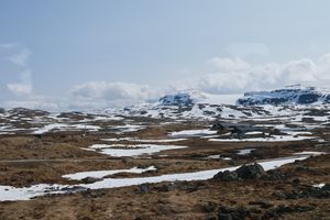 (Untitled)