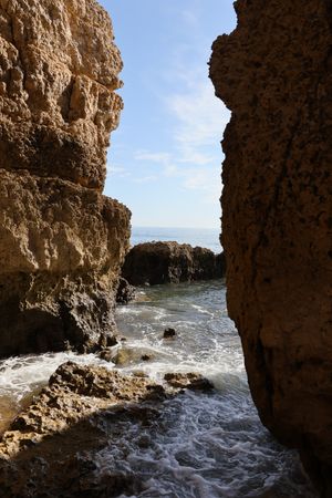 (Untitled)