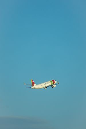 (Untitled)