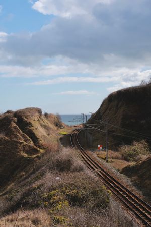 (Untitled)