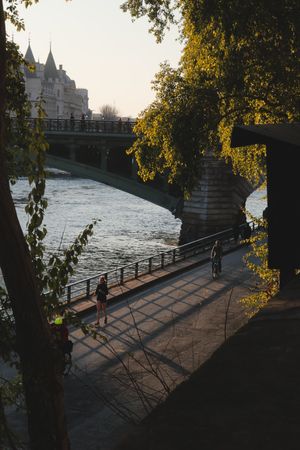 (Untitled)